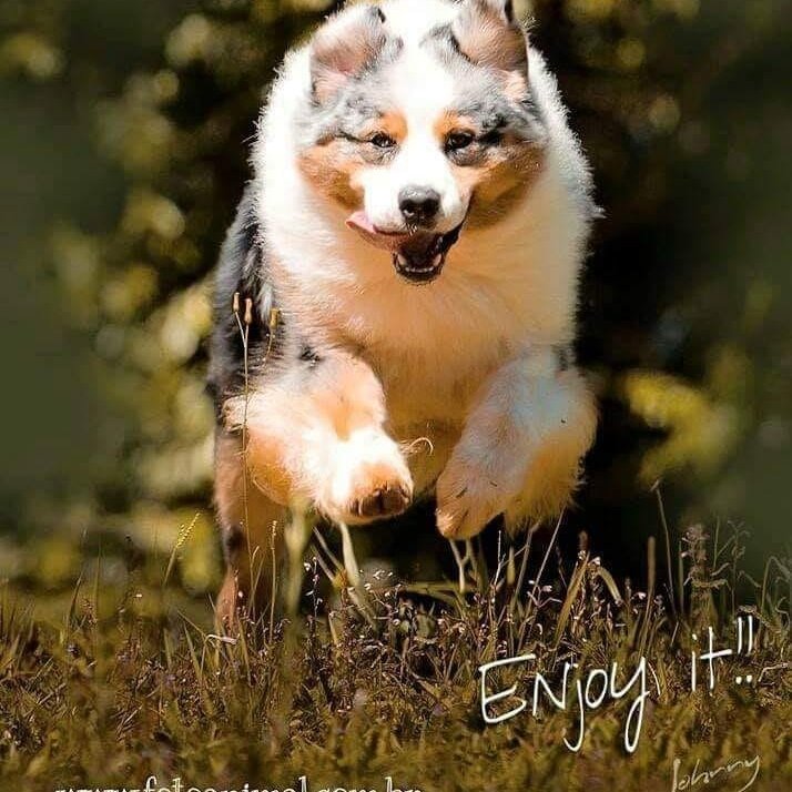 Márcia e Bia Bertero